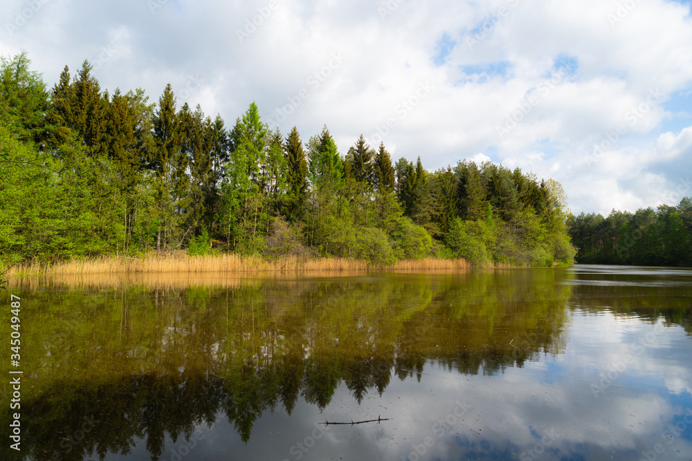 a wonderful shot of a pond in which many trees are  reflected with a cloudy background