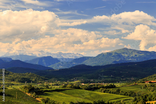 The beautiful vineyard of Collio, Friuli Venezia-Giulia, Italy