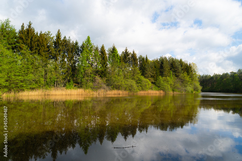 a wonderful shot of a pond in which many trees are reflected with a cloudy background