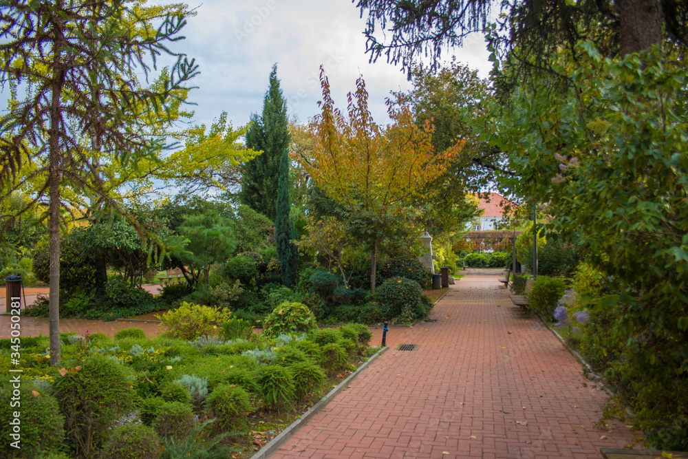 Jardim Pedrogão Grande