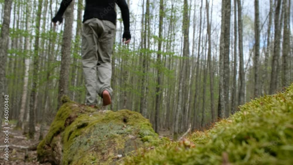 A sporty man 59 years old in a dense forest in Ukraine. A man walks barefoot on the mossy surface of a huge tree trunk. A sporty man 59 years old in a dense forest in Ukraine. A man walks barefoot on the mossy surface of a huge tree trunk.