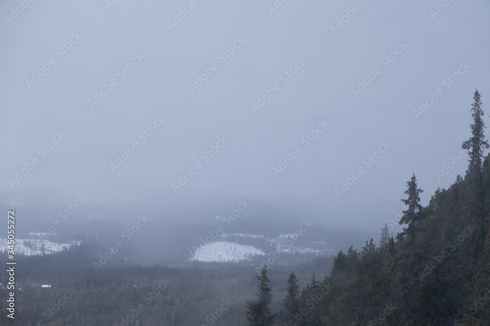 Landscape with foggy mountain. Copy space for text or product display.