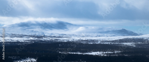 Winter landscape with foggy...