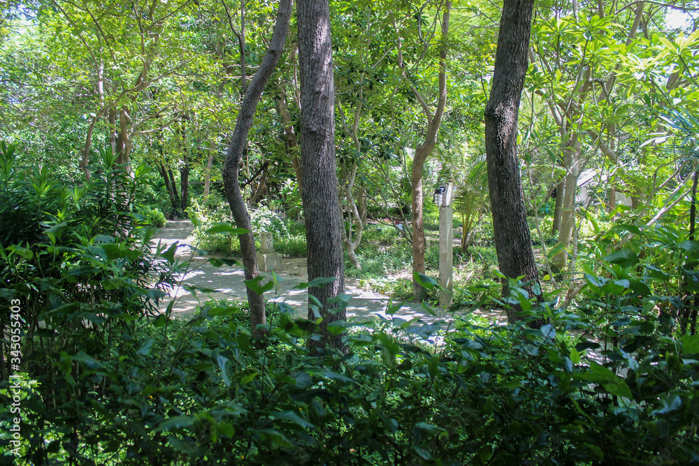 walkways at Koh Samet ,Bangkok ,Thailand walkways at Koh Samet ,Bangkok ,Thailand