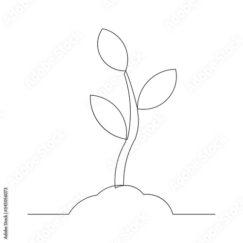 Continuous line drawing of small tree growth. Vector illustration © MuhammadZulfan