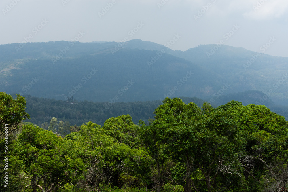 Green mountain meadow with mountain range in the background during the day in South India