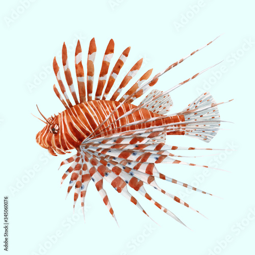 Beautiful vector stock illustration with watercolor hand drawn lion fish.