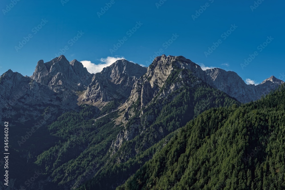 Detail Of Steiner Alpen - Kamniske Alpe