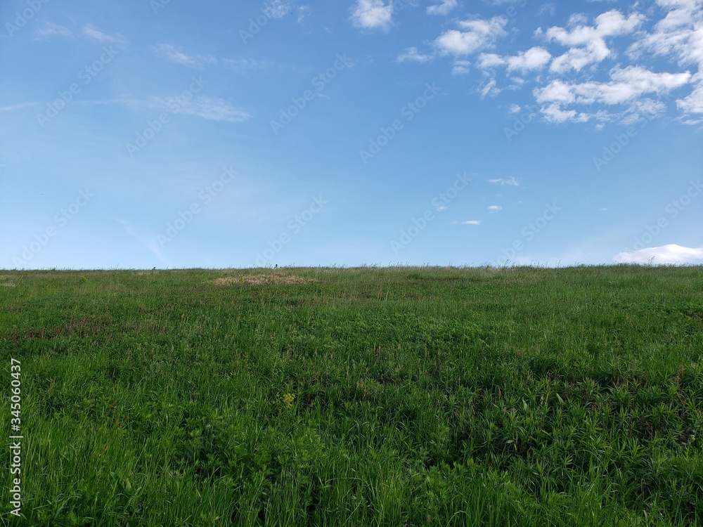 Fototapeta premium のどか