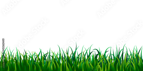Seamless grass border isolated on white or transparent background. vector illustration of fresh realistic green lawn. endless horizontal grass frame. bright meadow panorama. spring, summertime design.