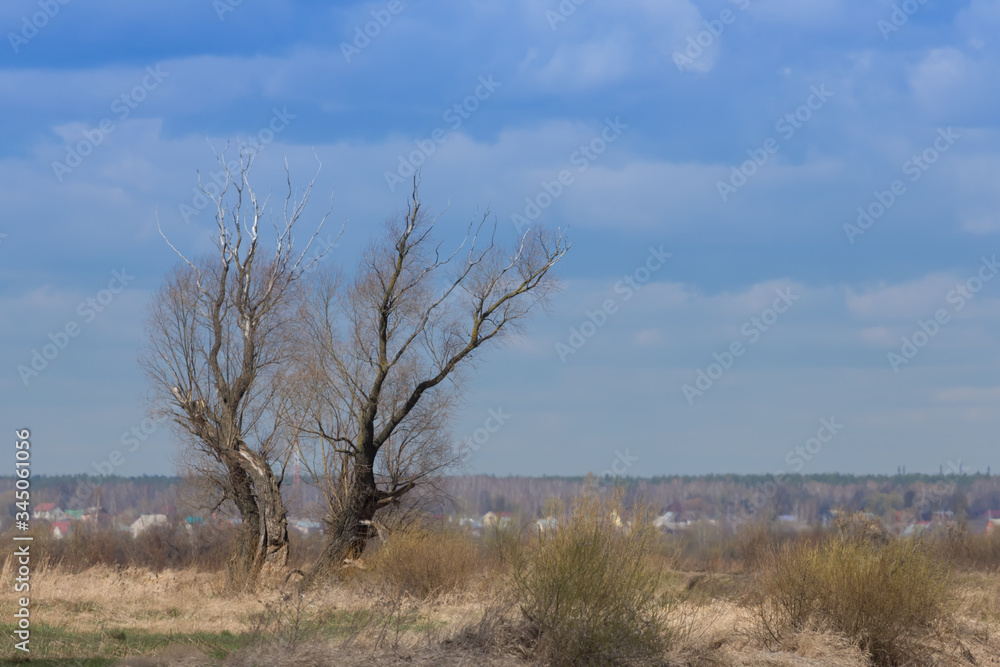 Autumn rural landscape of the Russian outback Autumn rural landscape of the Russian outback
