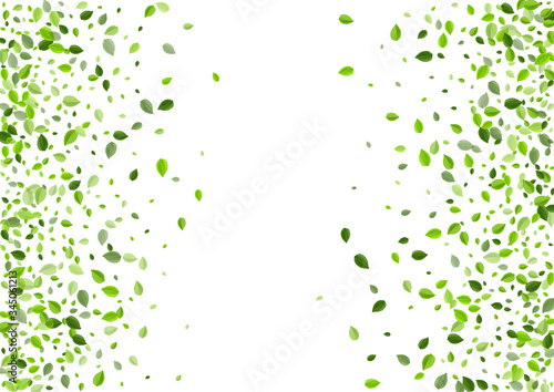 Lime Leaves Organic Vector Border. Flying Leaf 