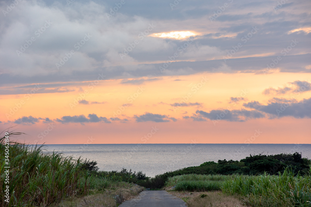 日本最南端、波照間島・サトウキビ畑の夕景