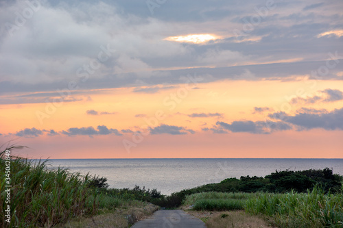日本最南端、波照間島・サトウキビ畑の夕景