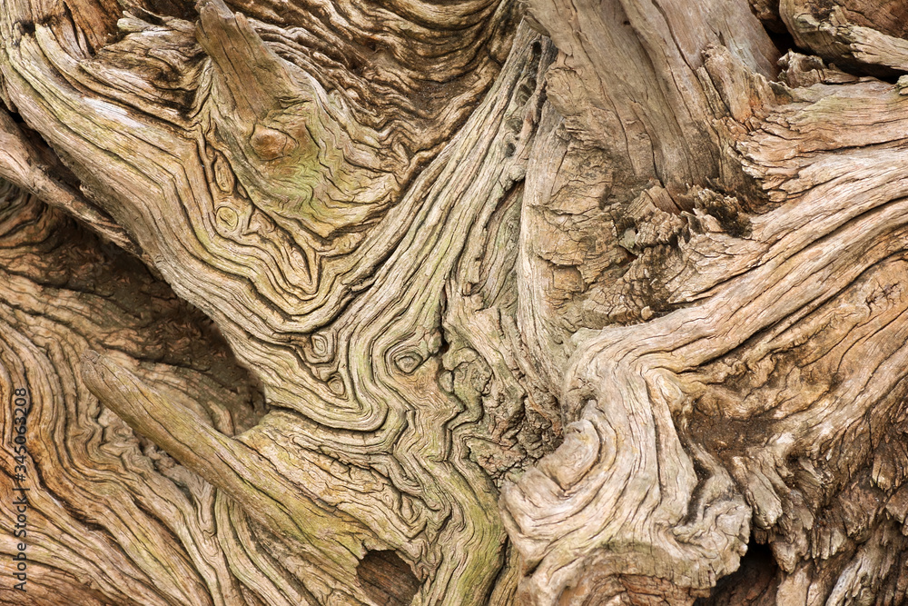 Old retro wooden surface texture abstract background Old retro wooden surface texture abstract background