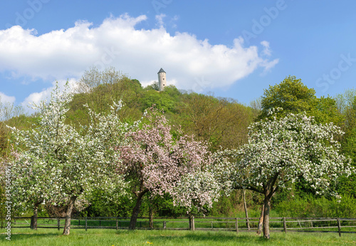 Plesseburg Göttingen photo