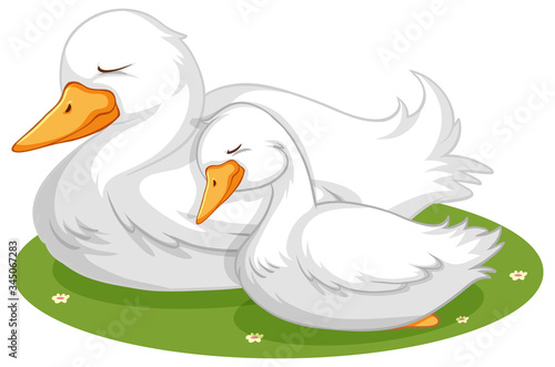 Cute duck sleeping on grass
