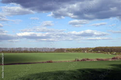 Landscape of green field, trees and sky