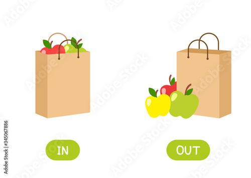 In and out antonyms word card flat vector template. Flashcard for english language learning. Opposites concept. Take out and put apples in paper shopping bag cartoon illustration with typography