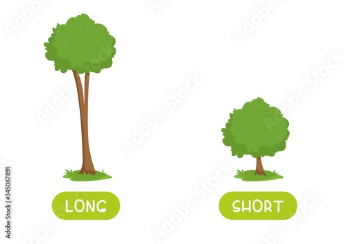 Short and long antonyms word card flat vector template. Flashcard for english language learning. Big and small opposites concept. Huge and tiny trees illustration with typography