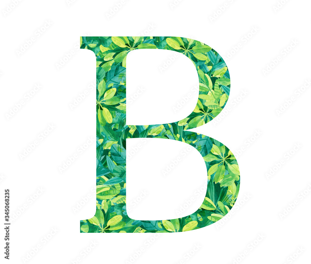 Pattern inside the letter B. Alphabet symbol with tropical leaves. Jungle composition hand drawn illustration. Elegant green template isolated on white background Pattern inside the letter B. Alphabet symbol with tropical leaves. Jungle composition hand drawn illustration. Elegant green template isolated on white background