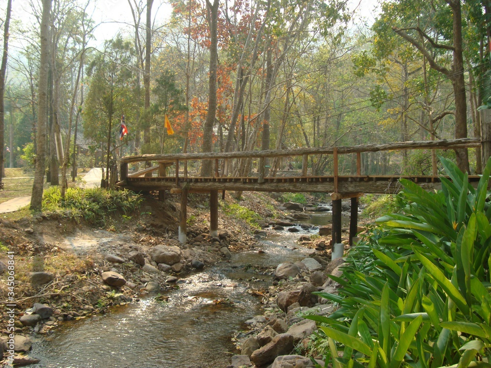 Wooden bridge over a mountain river. The coast is covered with stones and exotic plants. Around the forest with tropical trees. On the left is a narrow path. Wooden bridge over a mountain river. The coast is covered with stones and exotic plants. Around the forest with tropical trees. On the left is a narrow path.