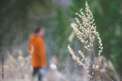 young man in the forest