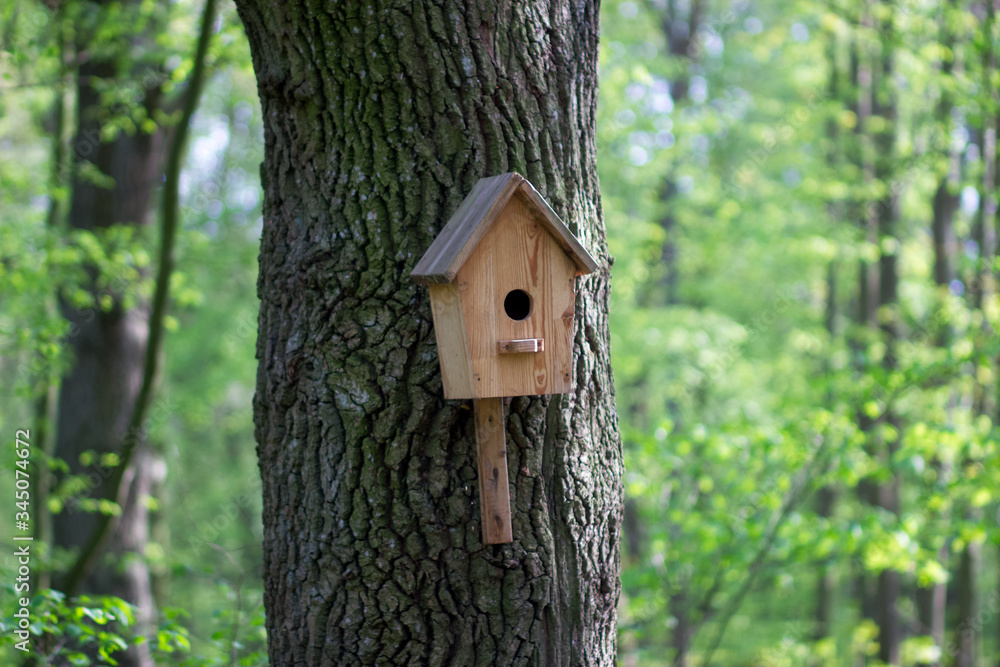 A bird feeder in the form of a house with a wooden roof hangs on a tree. Bird care. Wooden house close-up with copyspace A bird feeder in the form of a house with a wooden roof hangs on a tree. Bird care. Wooden house close-up with copyspace