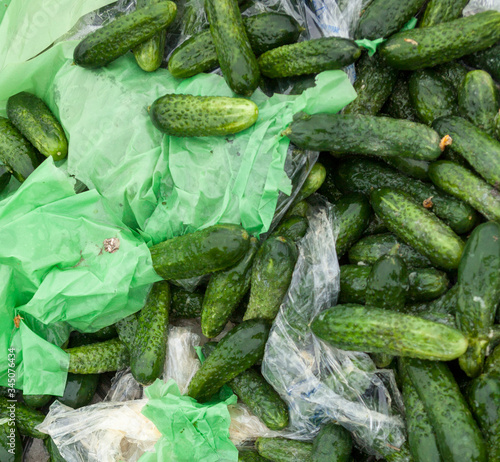 Piles of cucumbers on the landfill