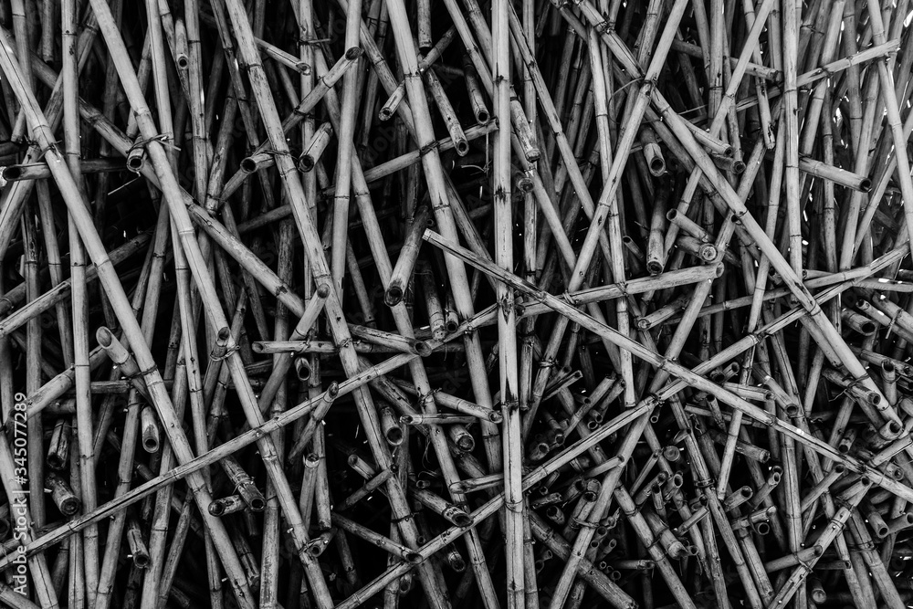 black and white abstract bamboo pattern for background black and white abstract bamboo pattern for background