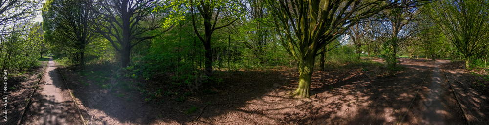 panoramic path in the park