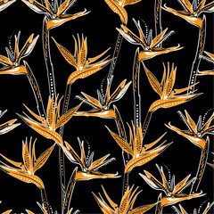 Deken met foto Tropische bloemen patronen Trendy hand drawn brid of paradise tropical flower in dark tropical mood seamless apttern in vector EPS10 Design feor all prints and all graphic type  © MSNTY_STUDIOX