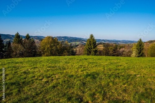 field in the mountains with flowering trees and forests around on a sunny spring day  czech