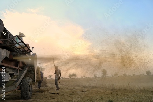 nohar,rajasthan 29 april 2020..Farmers taking out their crop from the threshing machine. photo