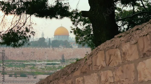 Cinemagraph of Jerusalem old city and the Al Aqsa Mosque through a tree during a dramatic colorful sunset. A bus travels on the road in a loop. View from the Mount of Olives in Jerusalem, Israel.