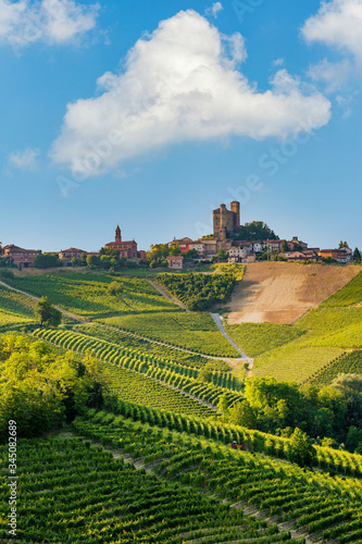 Langhe region, Piedmont, Italy. Vineyards landscape in spring - summer. photo