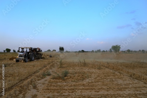 nohar rajasthan 29 april 2020..Farmers taking out their crop from the threshing machine.