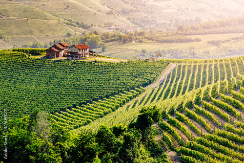 Cuadro en lienzo Langhe region, Piedmont, Italy
