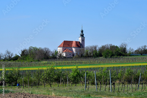 Austria, Agricultural Area photo