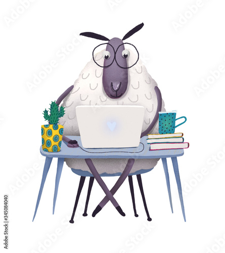 Sheep working a computer illustration isolated on white