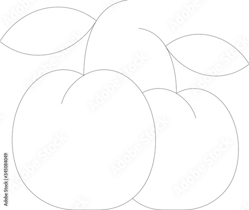 fruit