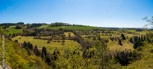 orchard of spring tree in the hills on a clear sunny day © Martin