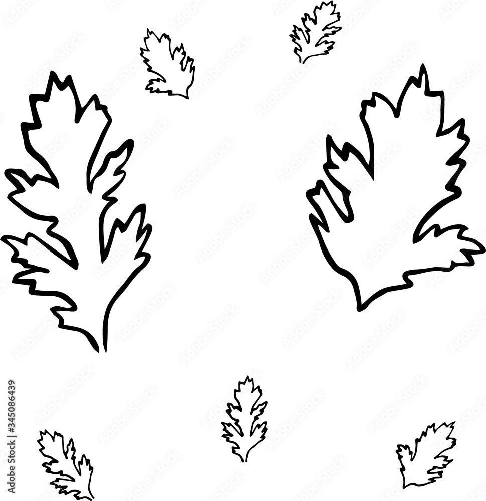 Cute hand drawn leaves in doodle style isolated on white background. Cute hand drawn leaves in doodle style isolated on white background.