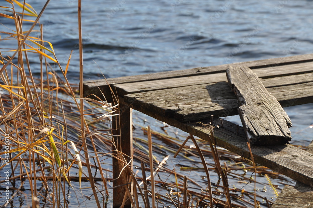 Fototapeta premium holzsteg mit schilf