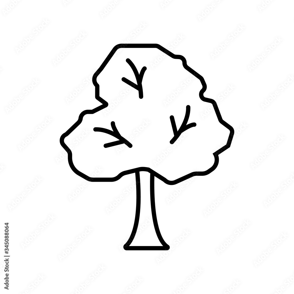 Tree icon vector illustration photo