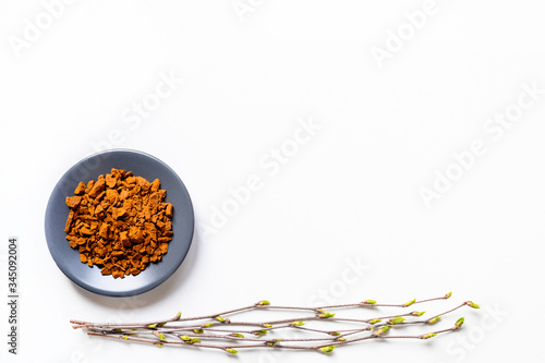 the chaga mushroom. composition of pieces of birch fungus chaga in bowl or plate and birch twigs with buds isolation on white background. concept of alternative medicine. space for text photo