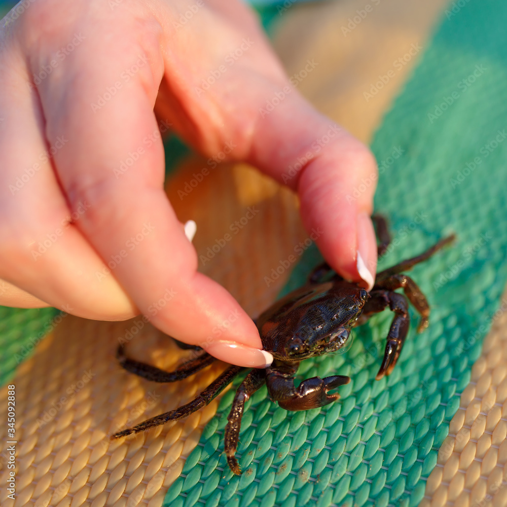 Obraz premium The girl is holding a small crab with two fingers