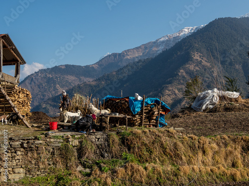 Views of the Annapurna Trek...