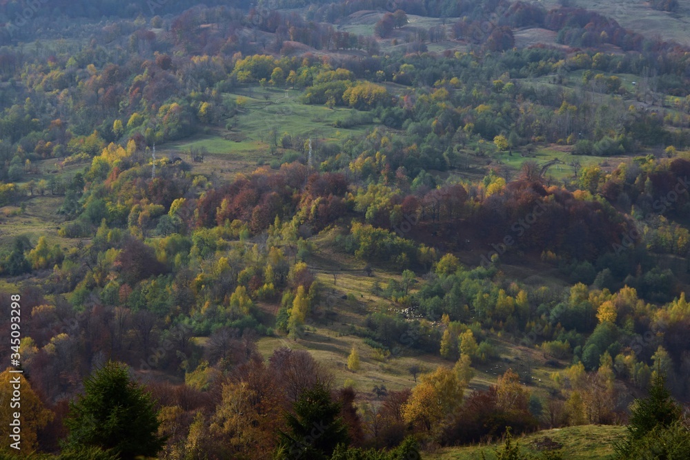 Fototapeta premium scene seen from above in autumn season from the top of mountain with colored and vibrant trees