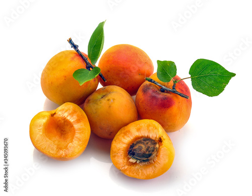 Isolated apricot. Fresh cut apricot fruits isolated on white background